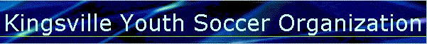 South Texas Youth Soccer Association banner